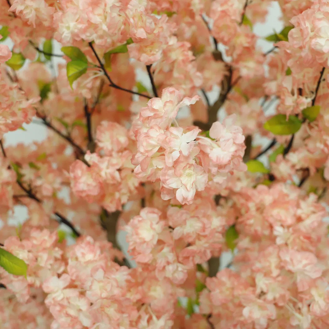 Pink Cherry Blossom 3