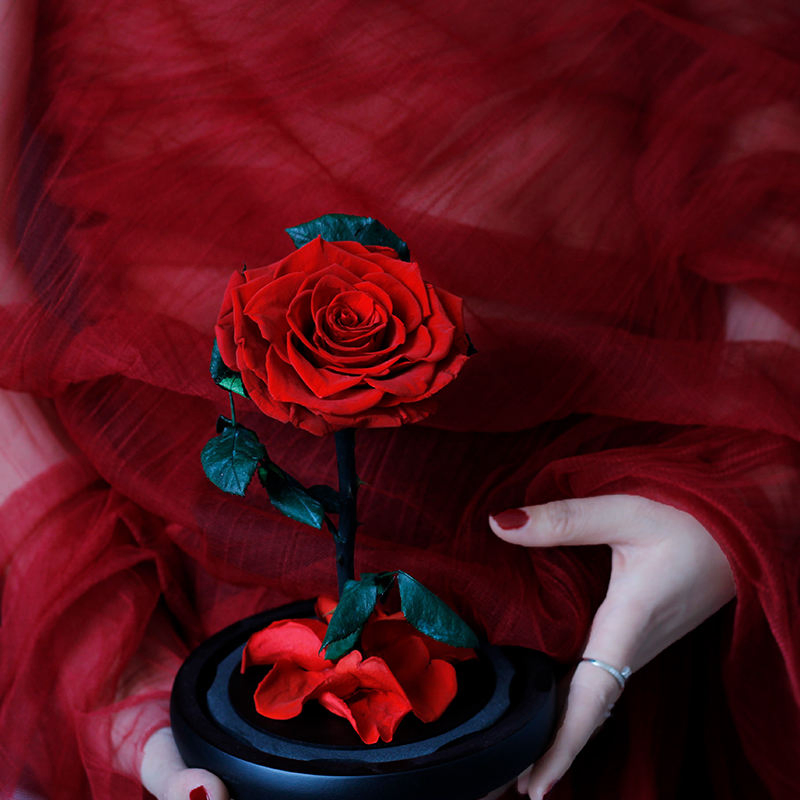 Factory Direct Wholesale Christmas Valentine's Day Eternal Forever Roses with Stems Preserved Flower in Glass Dome Real Natural Preserved Roses Glass