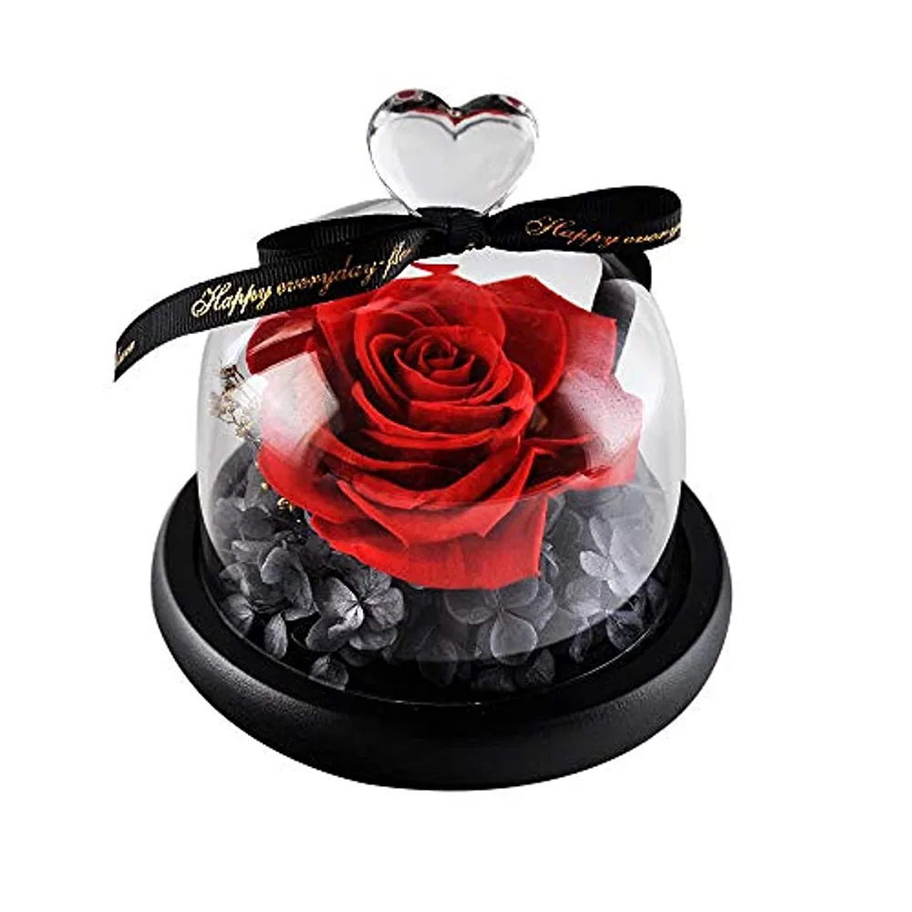 Inunion Premium Quality Preserved Roses Gift Real Rose in Glass Dome