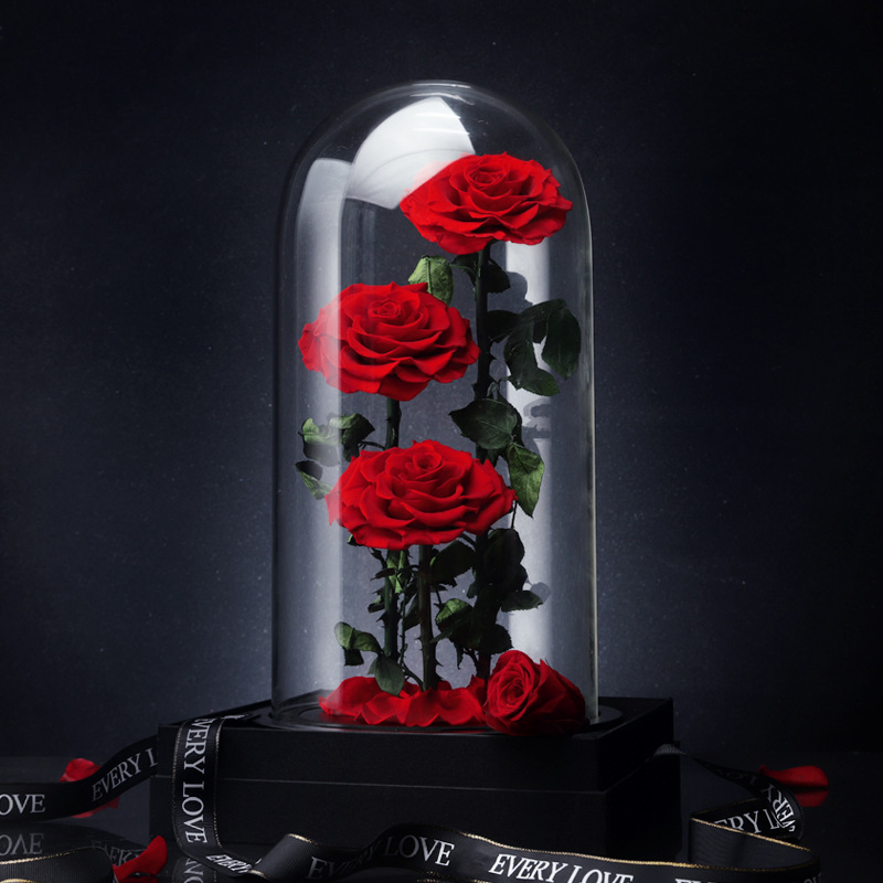 New Idea Forever Roses Valentine Gifts Preserved Rose with Glass Gift Box Rose Preserved Flower in Glass Dome