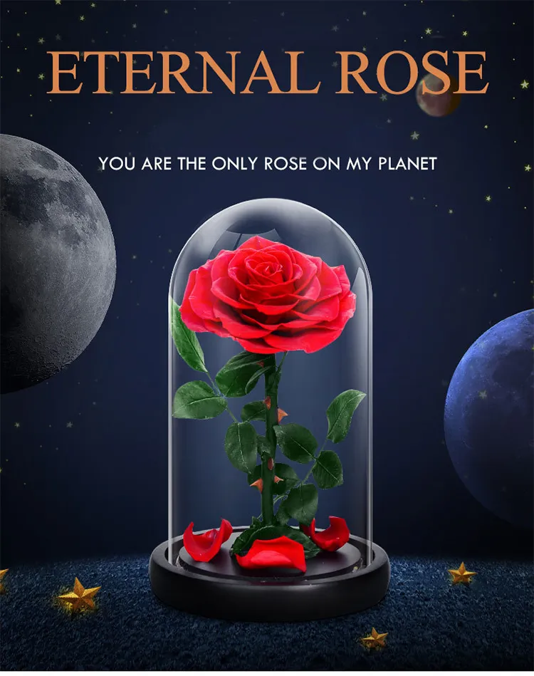 Preserved Rose in Glass Dome