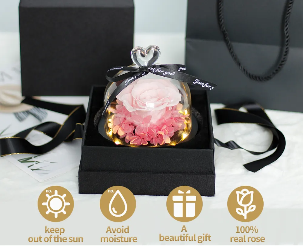 Roses in Glass Dome with LED