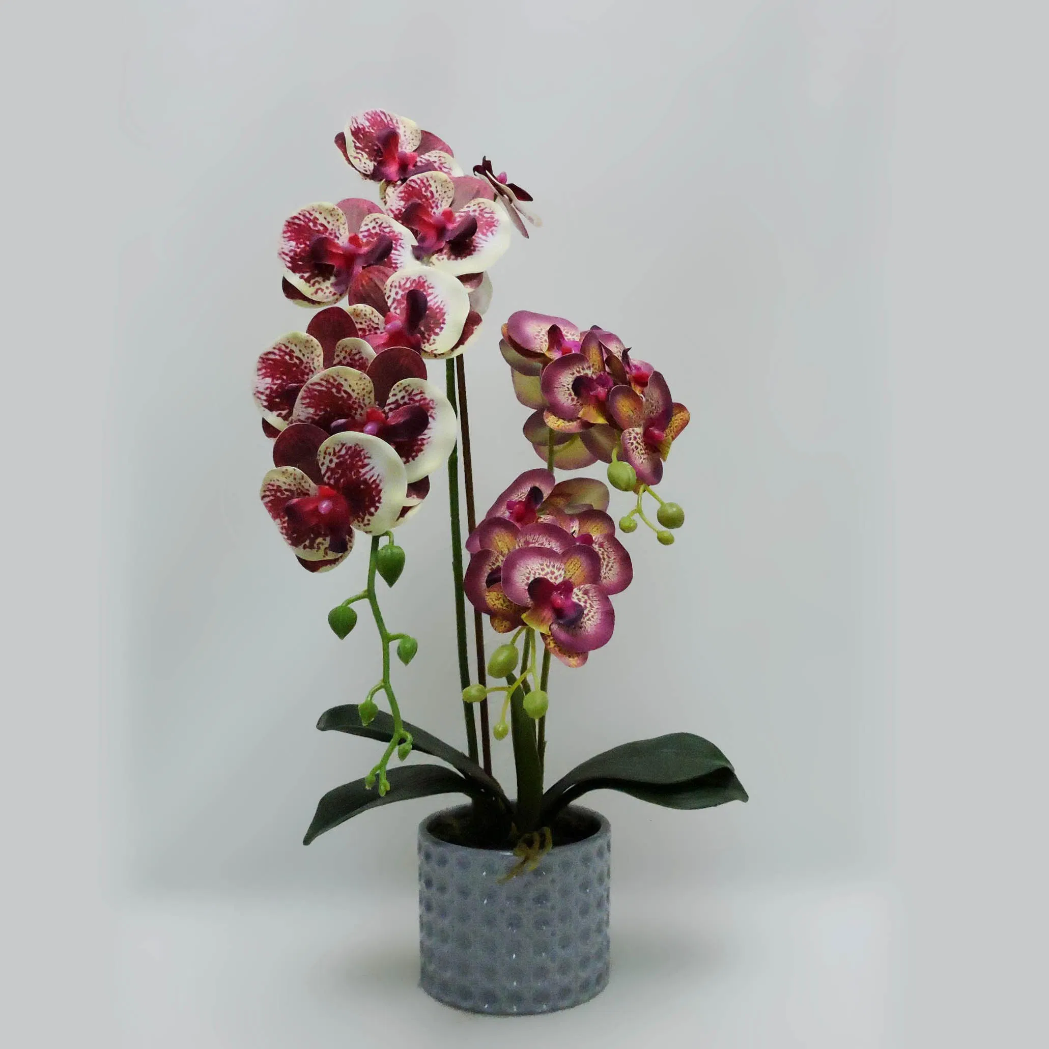 52cm High Silk Artificial Flowers Home Decoration Fake Orchid