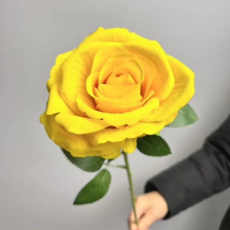 Single Big Lint Rose 4