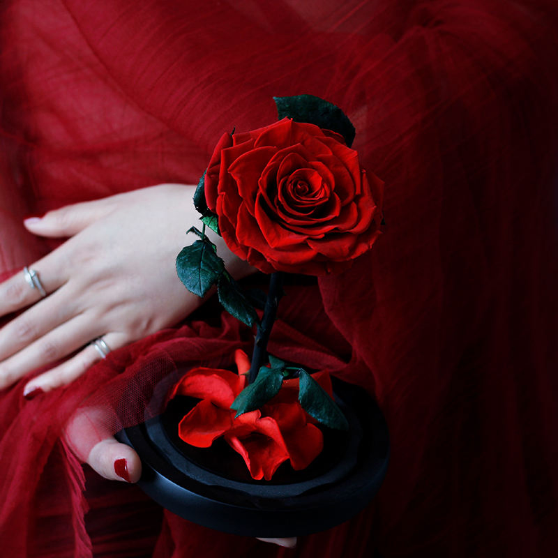 Factory Direct Wholesale Christmas Valentine's Day Eternal Forever Roses with Stems Preserved Flower in Glass Dome Real Natural Preserved Roses Glass
