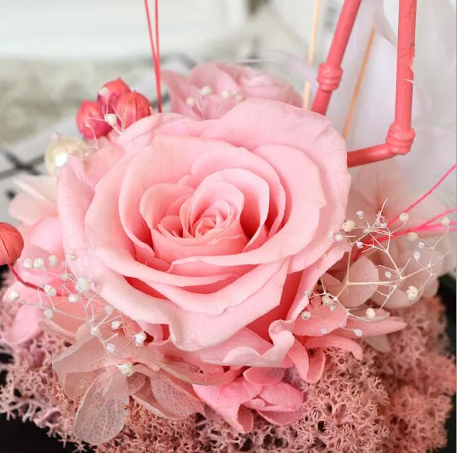 Preserved Rose in Glass 3