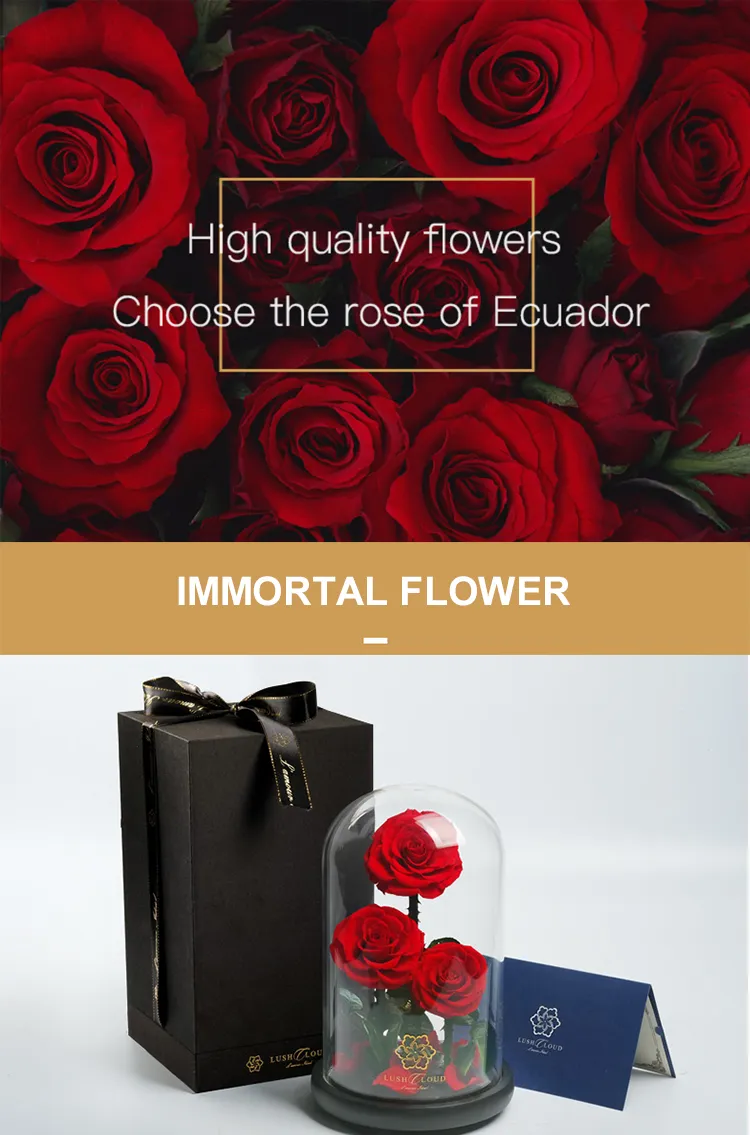 Eternal Rose Gift Details