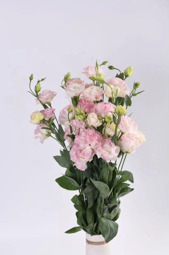 Eustoma Bouquet 2