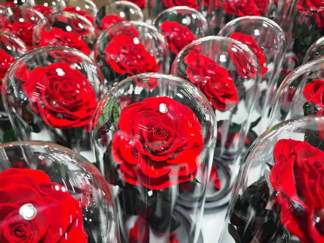 Eternal Rose Detail 2