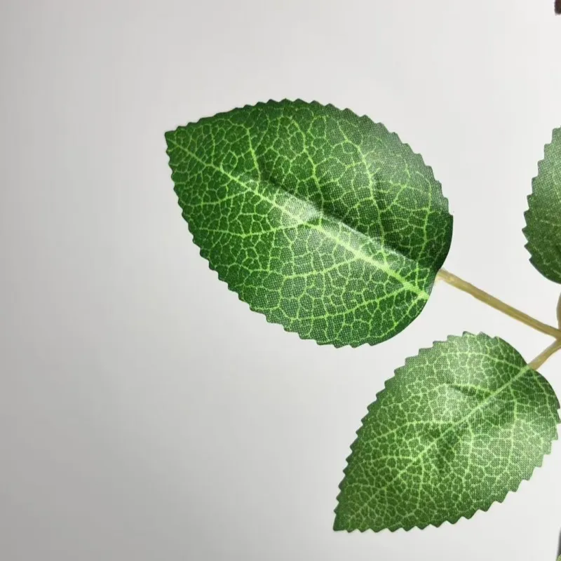 Single Big Lint Rose 1