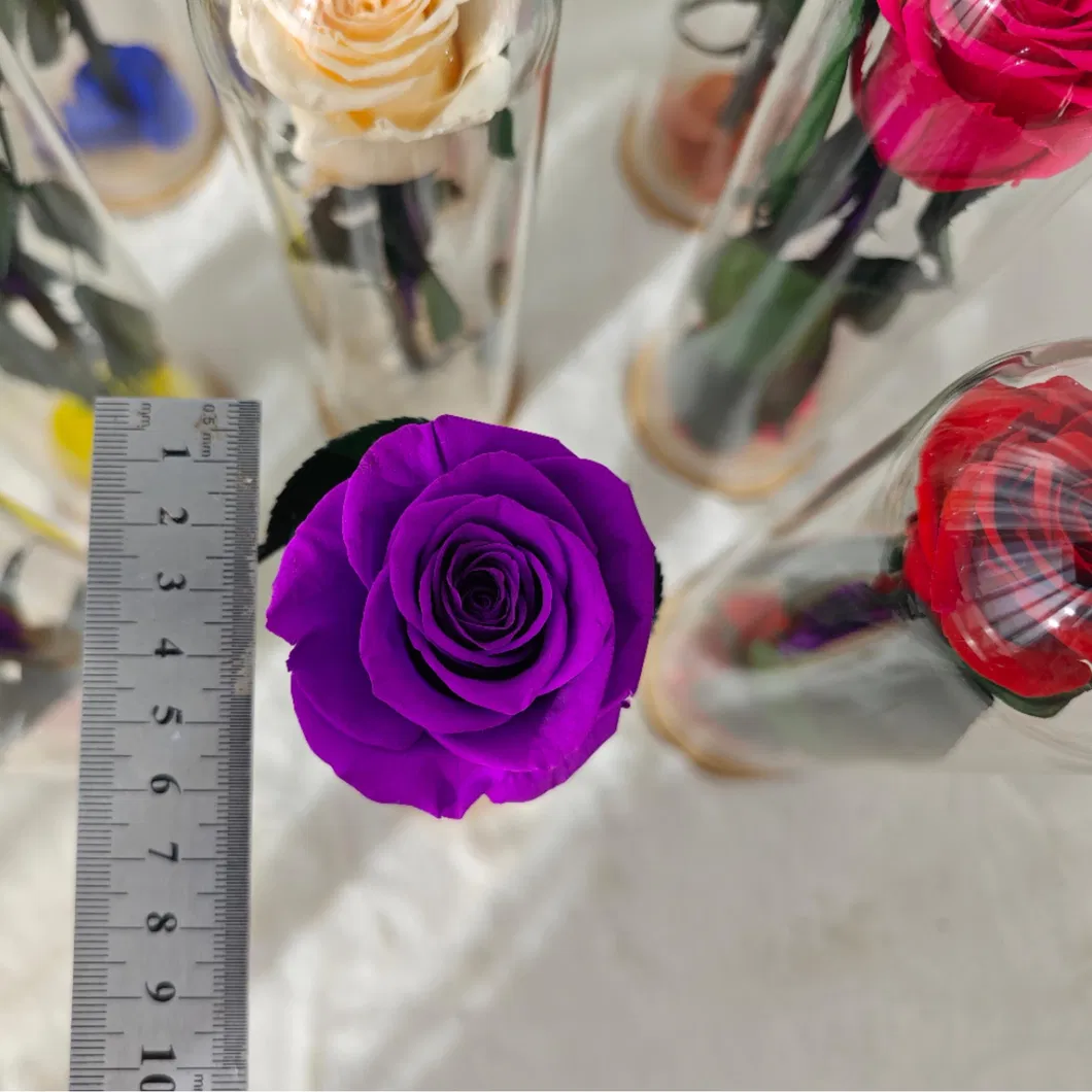 Everlasting Rose Detail