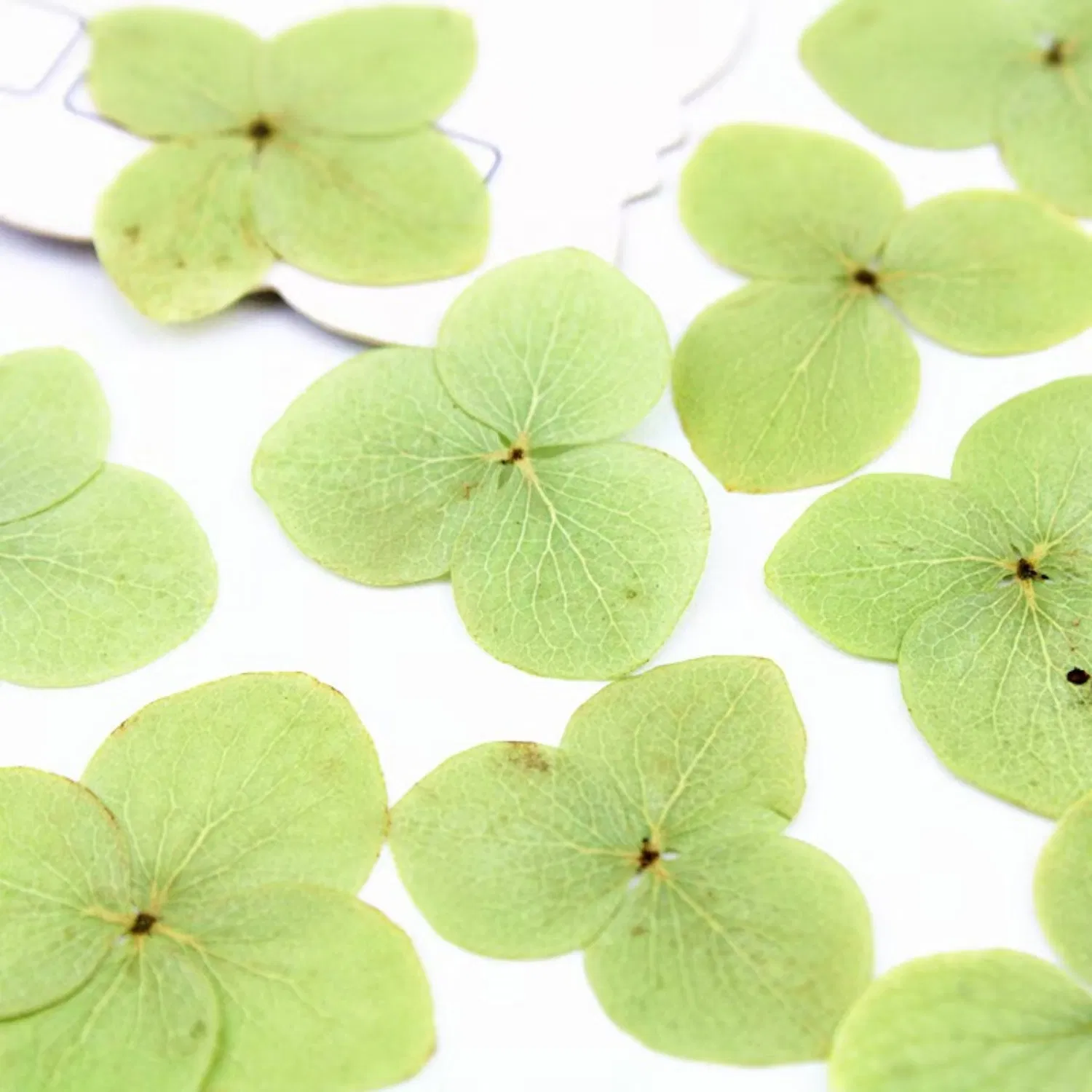 Artificial Flower Detail 4