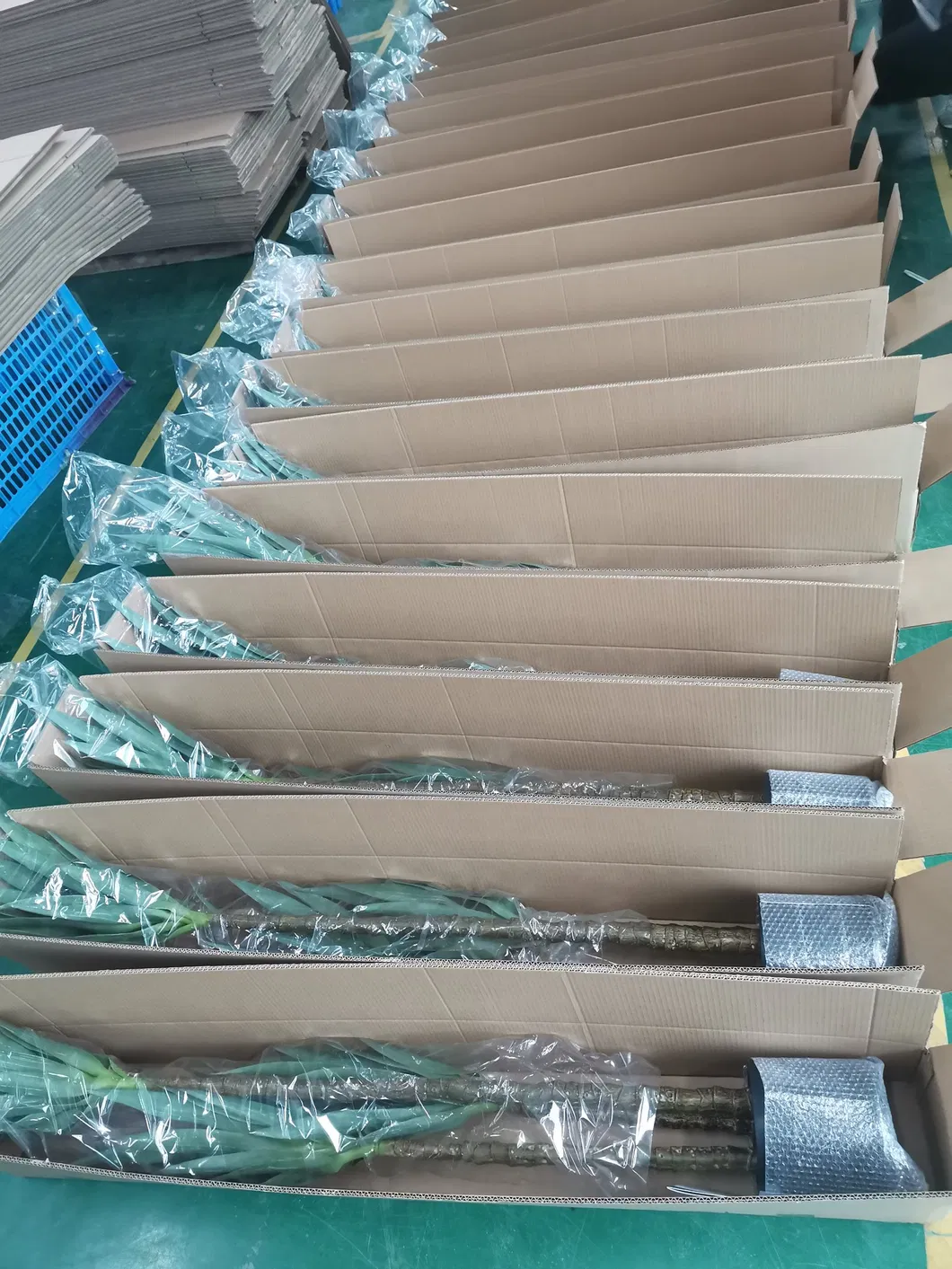 Cherry Blossom Tree Detail