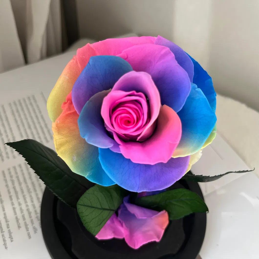 Natural Eternal Rose