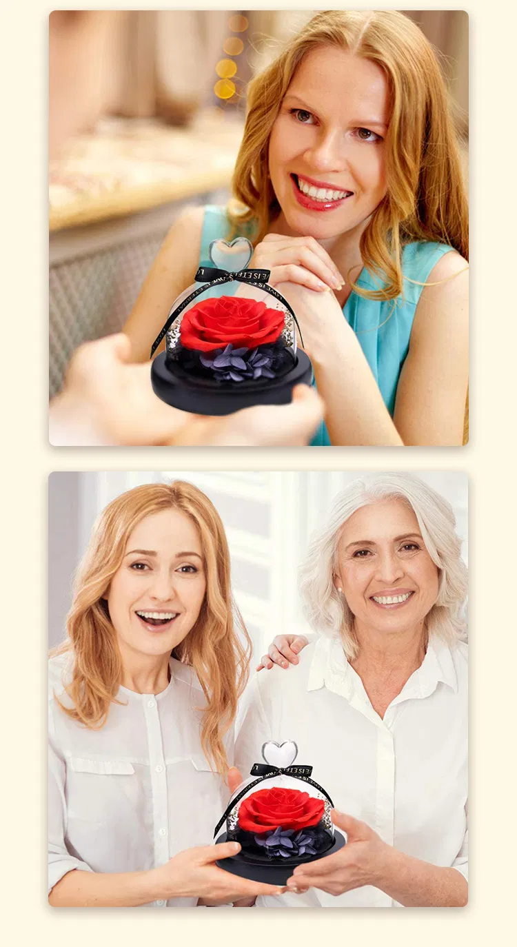 Valentine's Day Rose