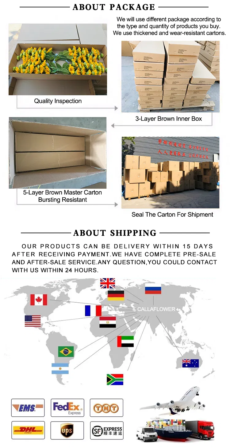 Manufacturing Standards