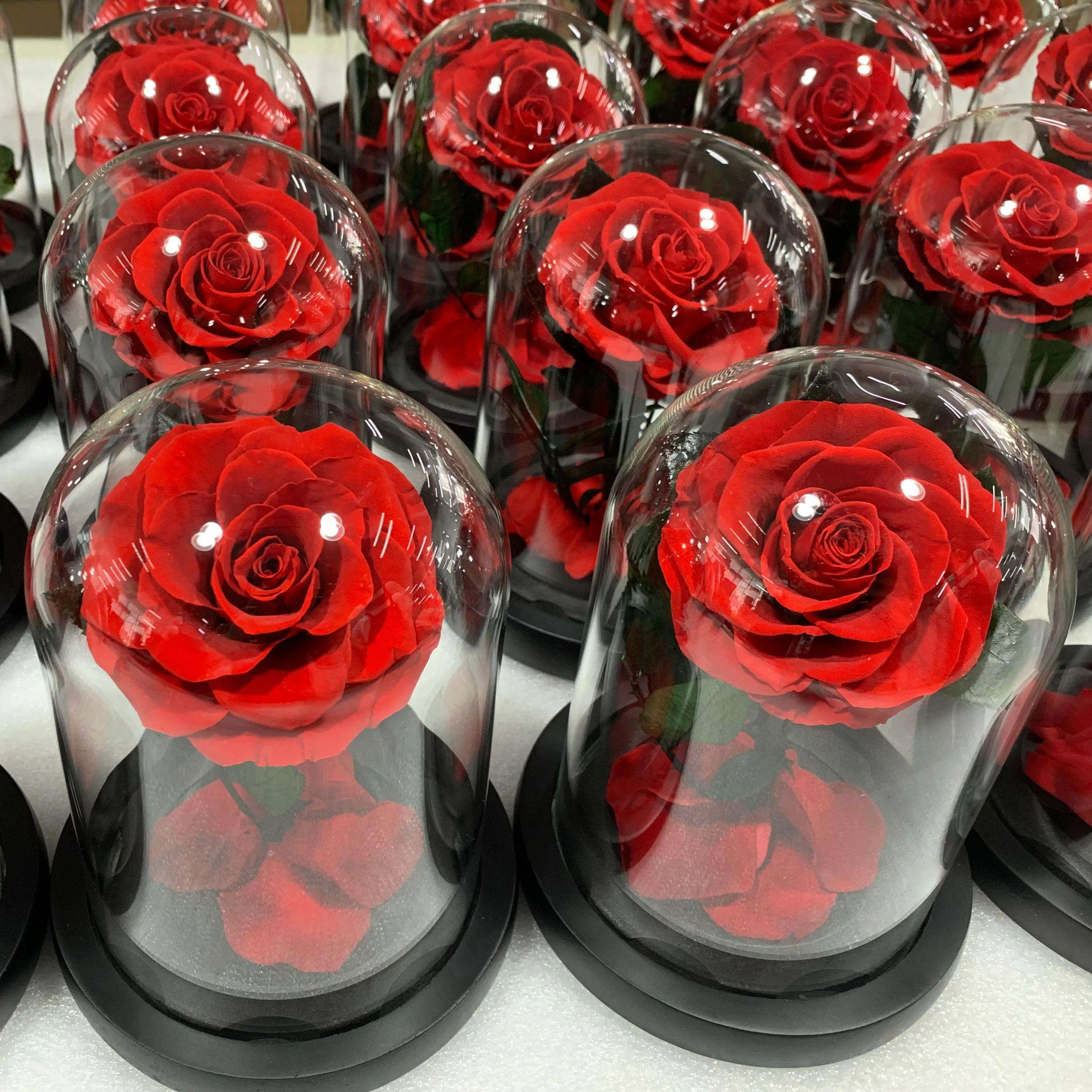 Valentine's Day Gift Forever Rose LED Light Stabilized Flowers Preserved Roses in Glass Eternal Roses Wholesale in Dome