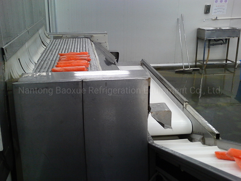 Blast Tunnel Freezer for Shrimp Fish Plumeria Hake Fish