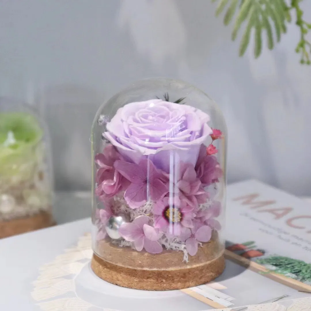 Preserved Rose Artificial Silk Soap Rose Dried Plant Preserved Pampas Moss in Glass Dome