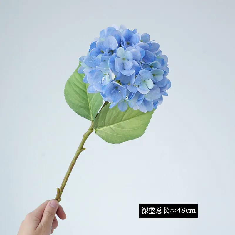 Blue Hydrangea