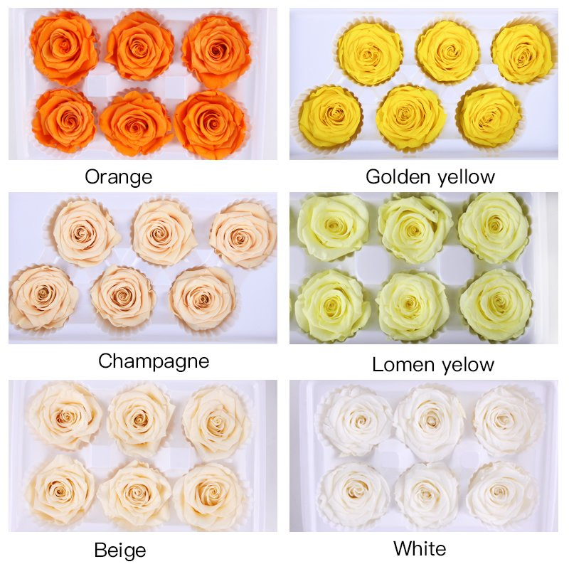 3-5 Years Lasting Preserved Rose Flowers for Glass Dome