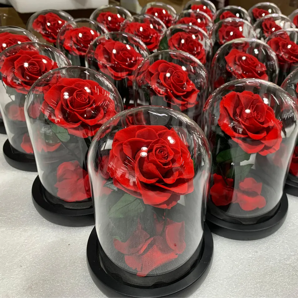 Preserved Flower in Glass Dome