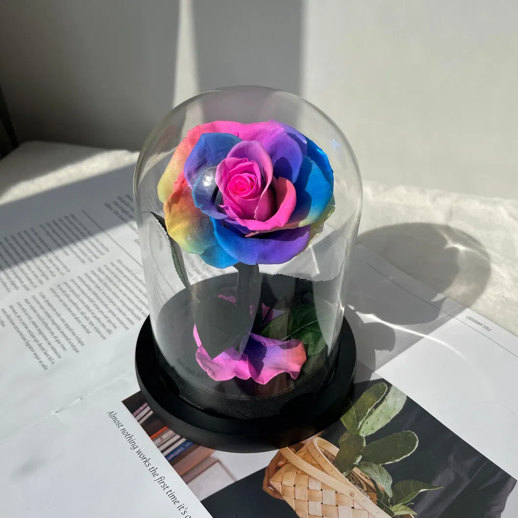 Preserved Flower Rainbow Rose