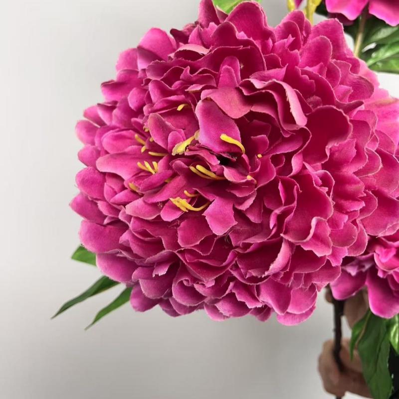 Long Big Peony for Home Holiday Decoration From Factory High Quality Bulk Price Wholesale OEM ODM