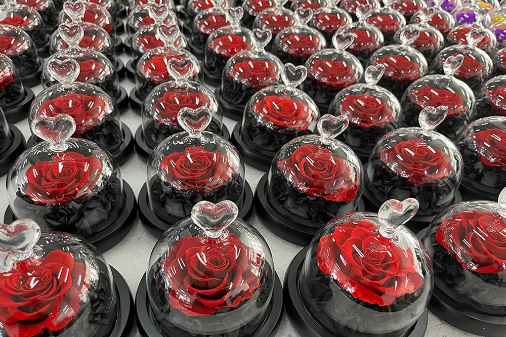 Everlasting Real Rose