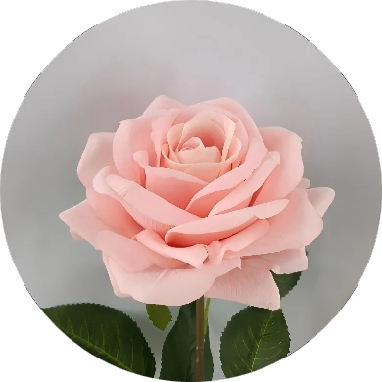 Artificial Rose Detail 2