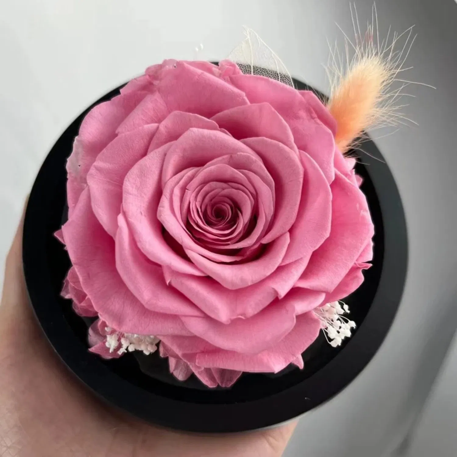 Mother's Day and Graduation Gift Preserved Flower Gift Eternal Rose with Glass Cover