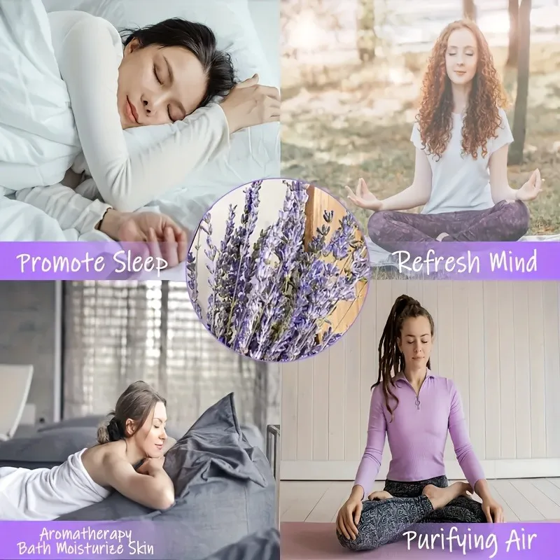 Dried Lavender Photos 4