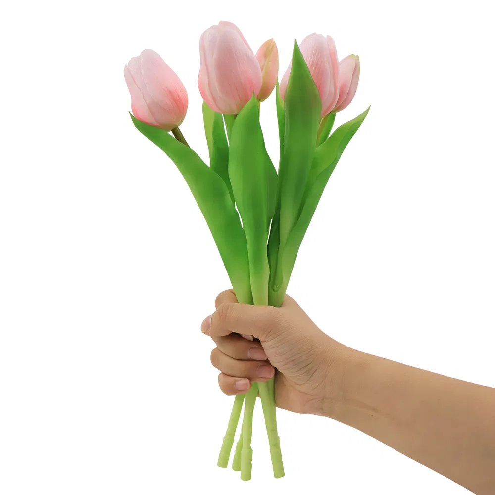 Tulip Detailed View 6