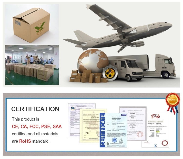 Packaging and Logistics