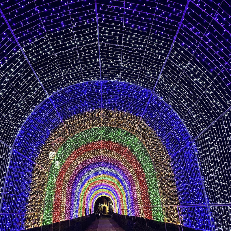 Holiday Light 6