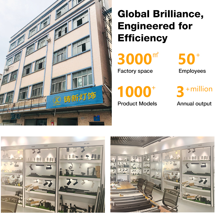 Professional 360&deg; Adjustable Ac 110V 265V 10W 20W 30W 40W Aluminum Spotlight Cob Indoor Showroom Clothing Store Led Track Light