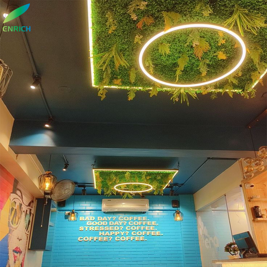 Circular Led Ceiling Lights Gym Green Plant LED Rings Hanging Lamp 165~265V Chandelier Round Pendant Light