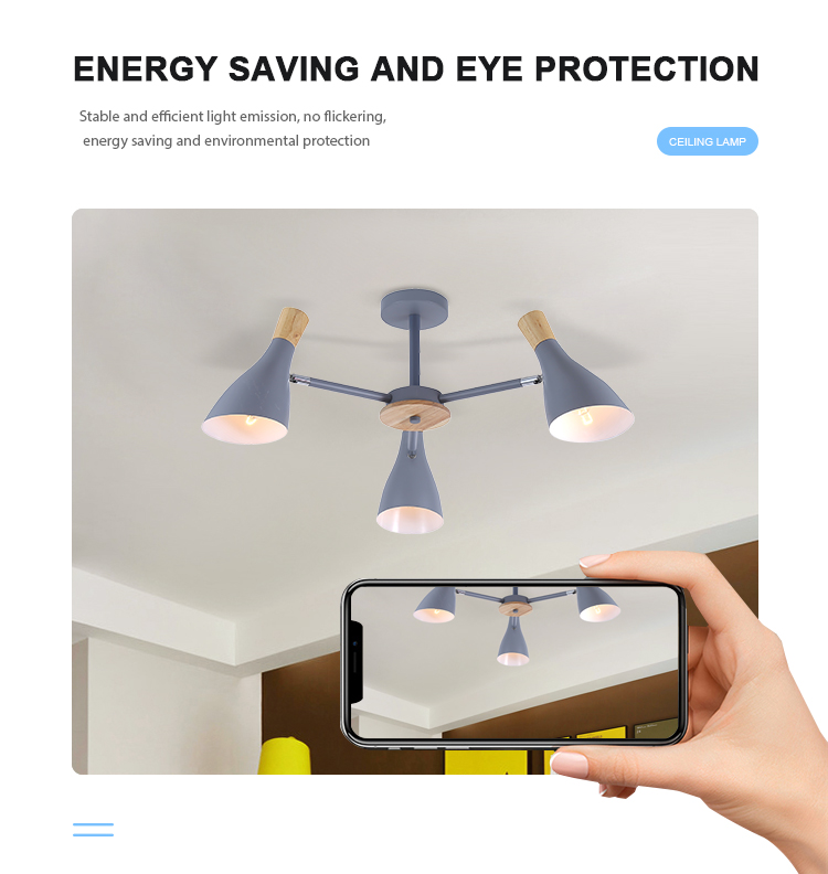Ceiling Light Decoration