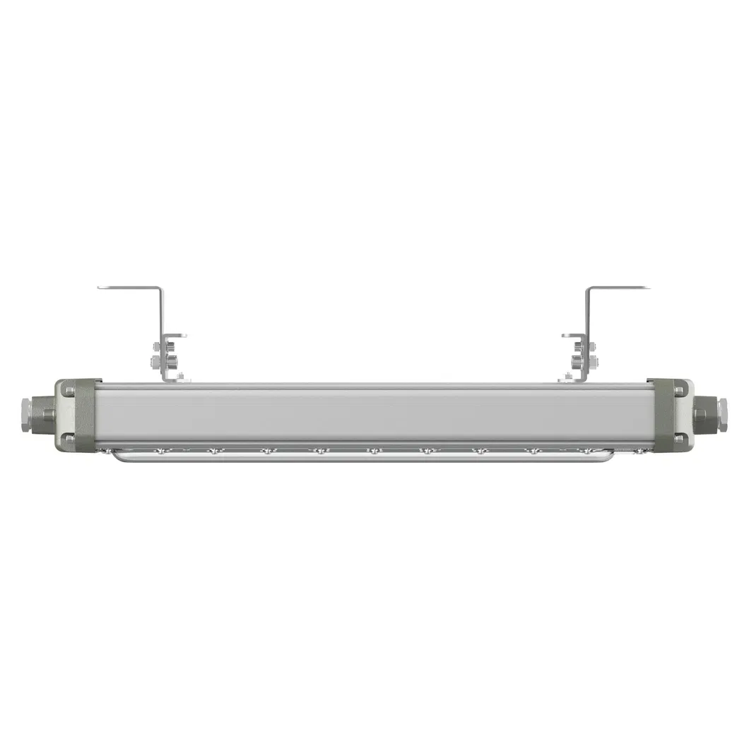 Explosion Proof Light 3