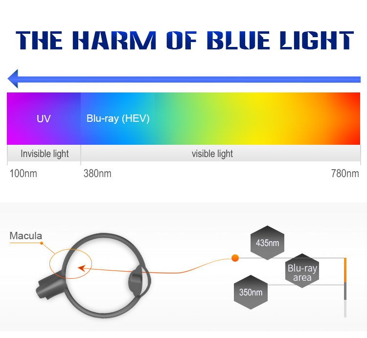 LED Classroom Light Details