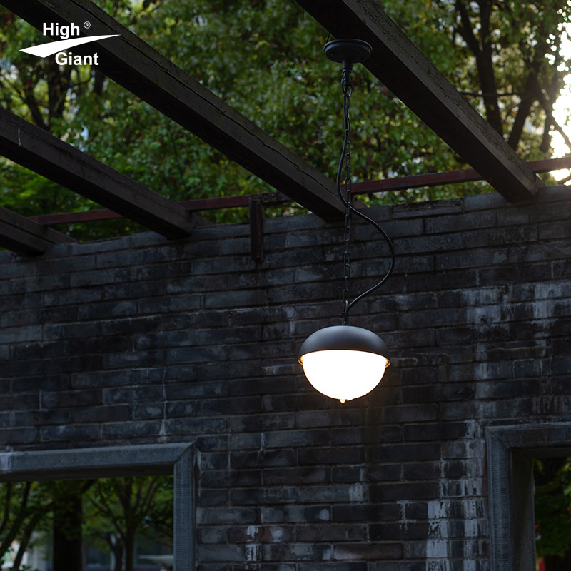 IP54 Waterproof Indoor And Outdoor Universal Decorative Lighting Ceiling Light For Garden, Courtyard
