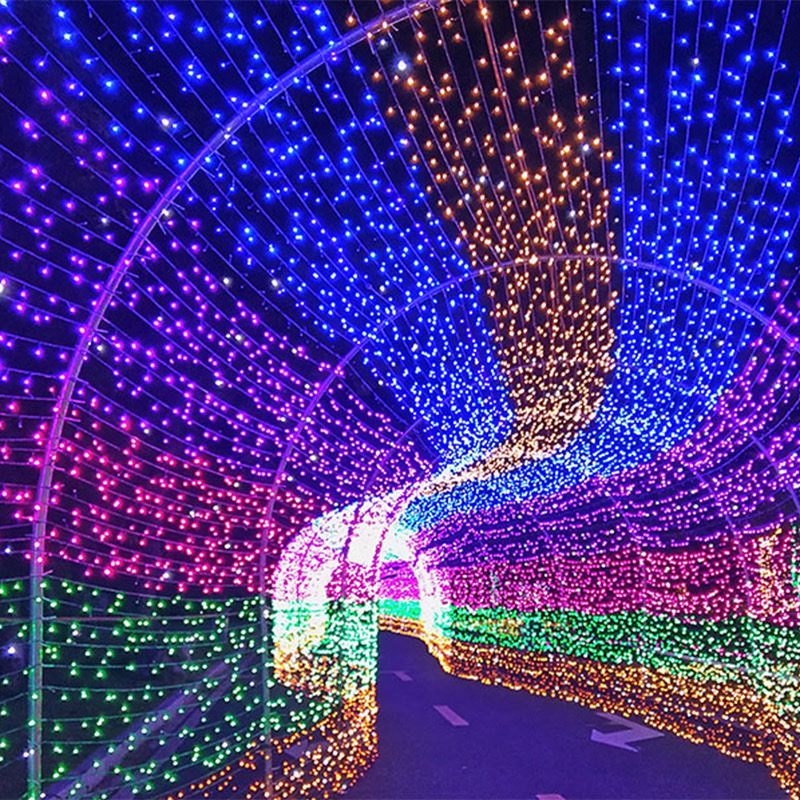 Holiday Light 2