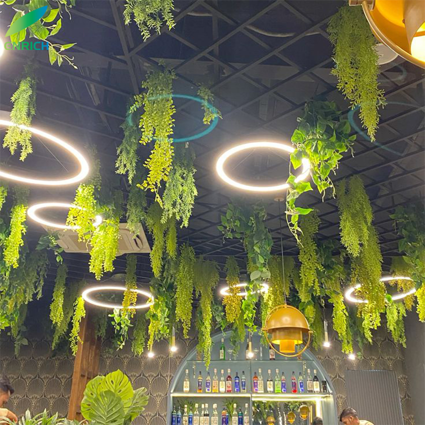 Circular Led Ceiling Lights Gym Green Plant LED Rings Hanging Lamp 165~265V Chandelier Round Pendant Light