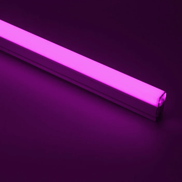 Color Option 2