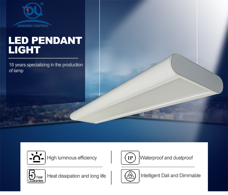 Led Pendant Light