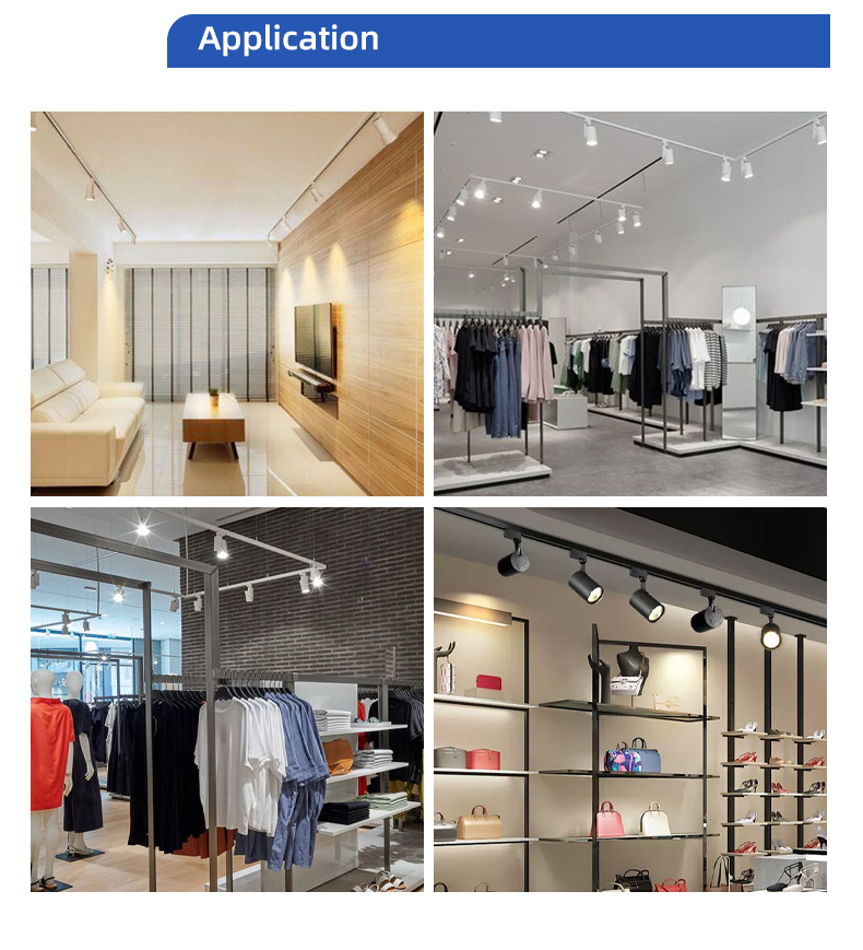 LIFUD Driver Side-Arm 3CCT Ra90 Adjustable Museum Showroom Retail Spot Light System Ceiling Black 30w Led Track Light