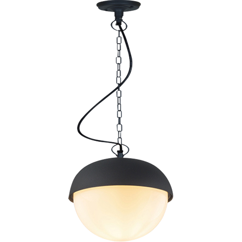 IP54 Waterproof Indoor And Outdoor Universal Decorative Lighting Ceiling Light For Garden, Courtyard