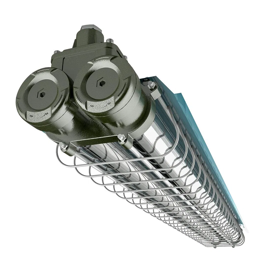 Explosion Proof Light 1
