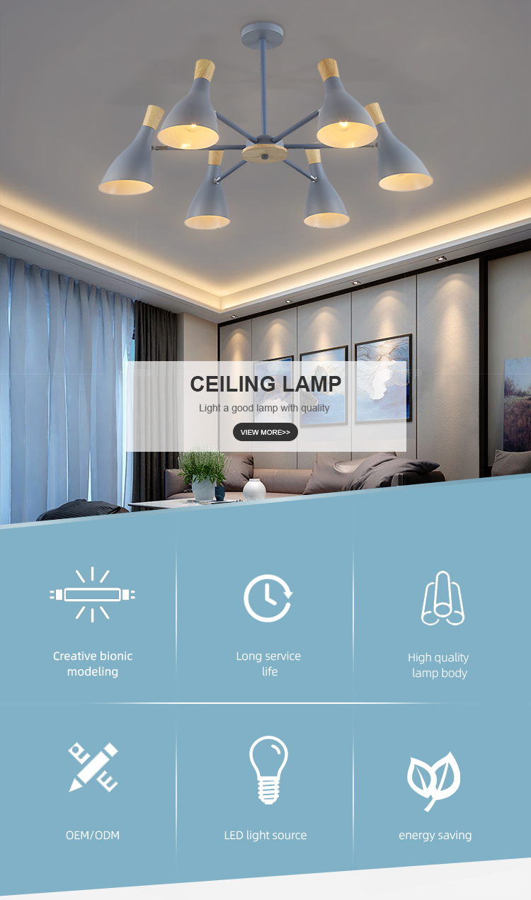 Pendant Light