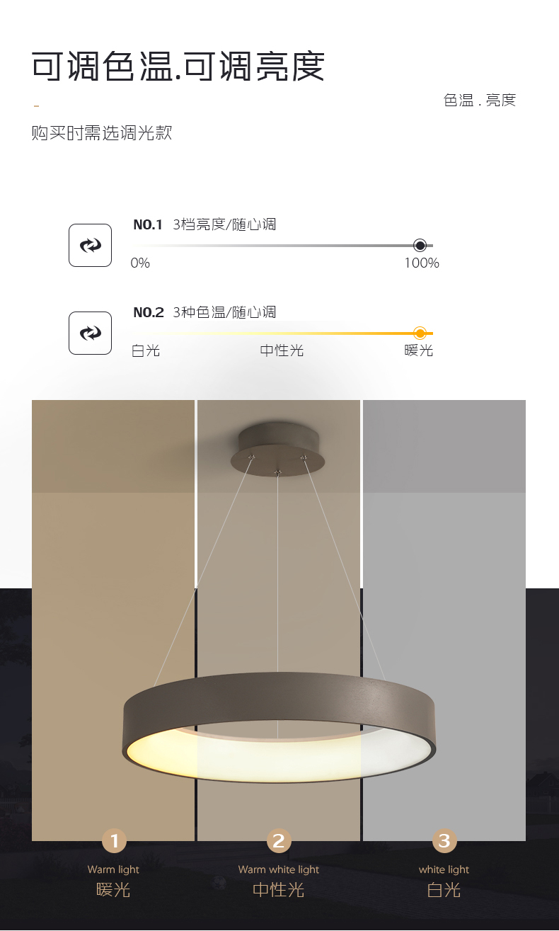 LED Pendant Light Detail 2
